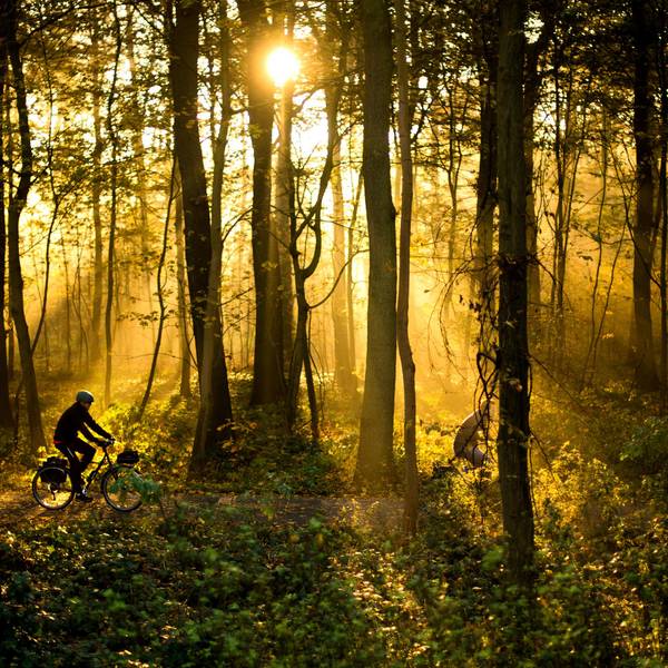 Radtour Radfahren dpa 2017