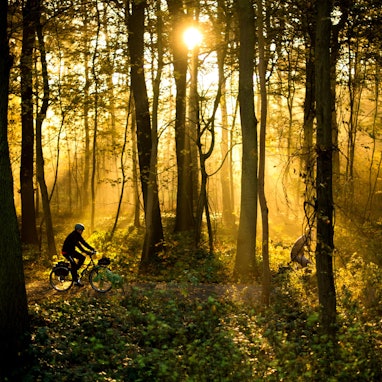 Radtour Radfahren dpa 2017