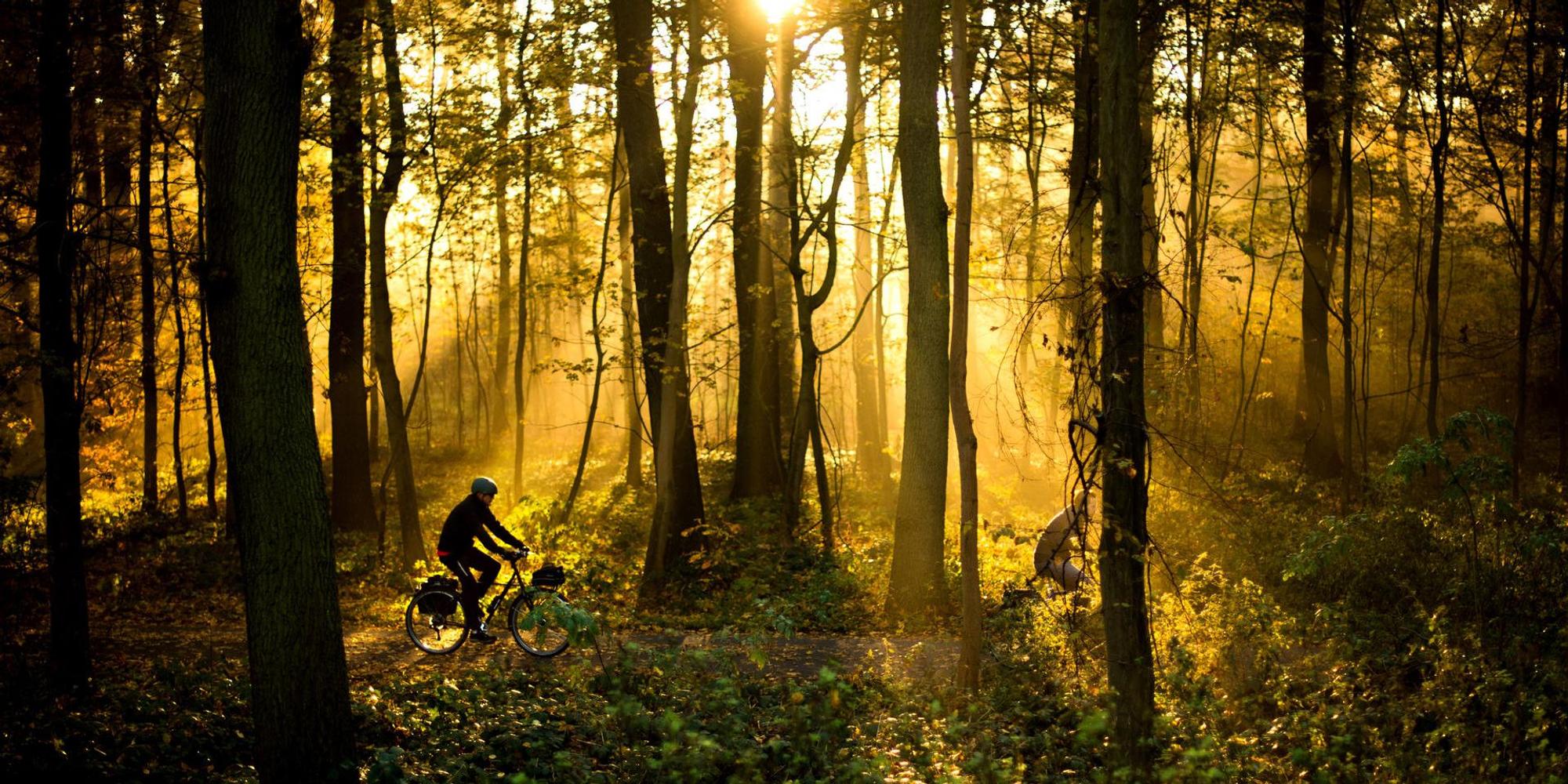 Radtour Radfahren dpa 2017