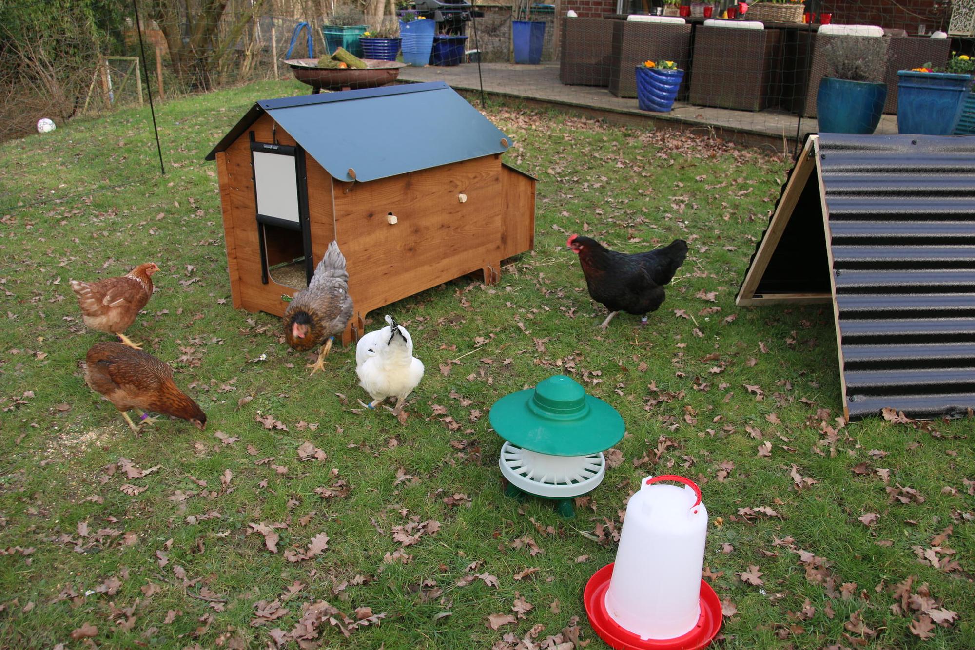 IMG_7039_copyright Chicken on Tour