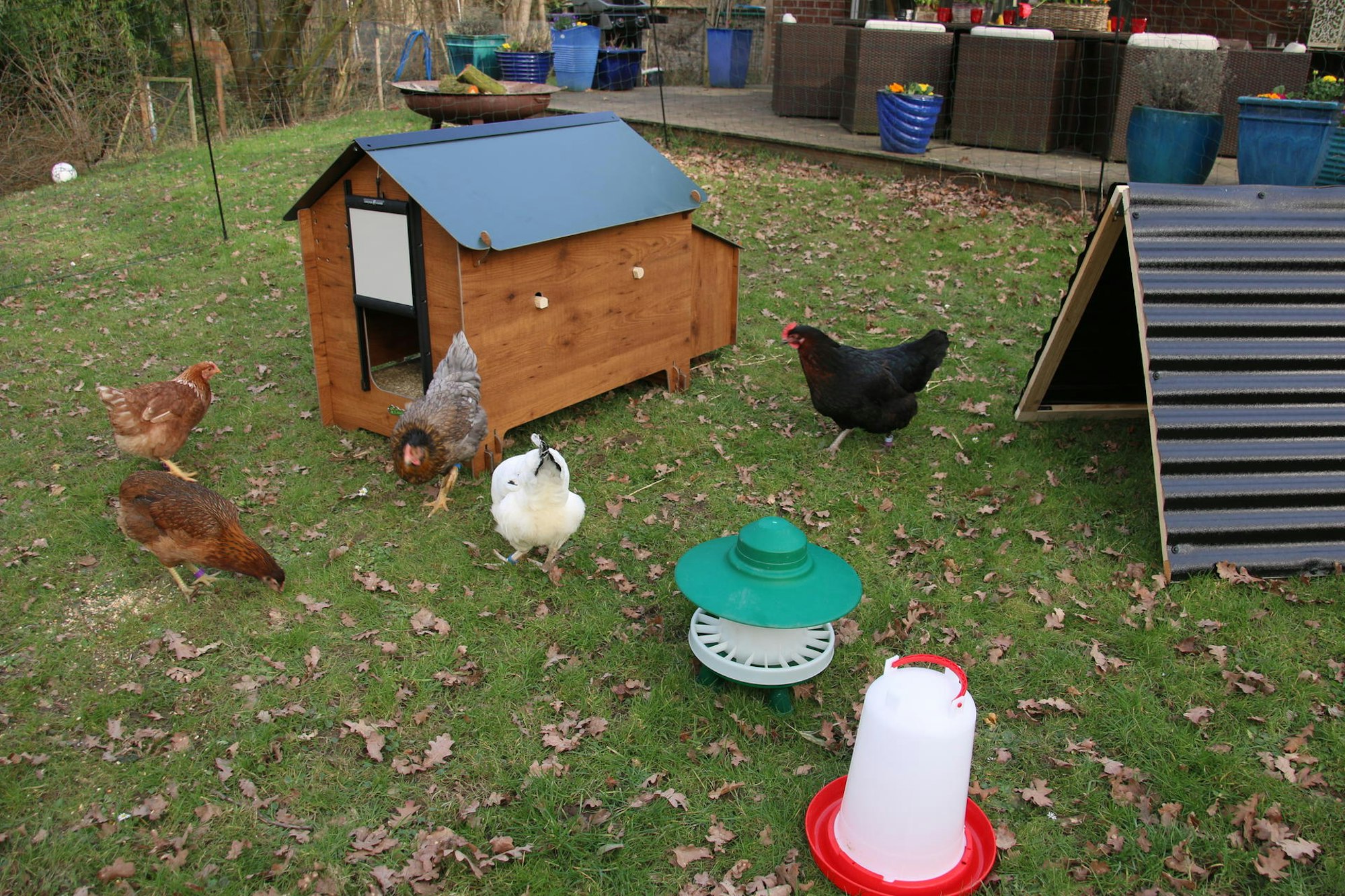 IMG_7039_copyright Chicken on Tour