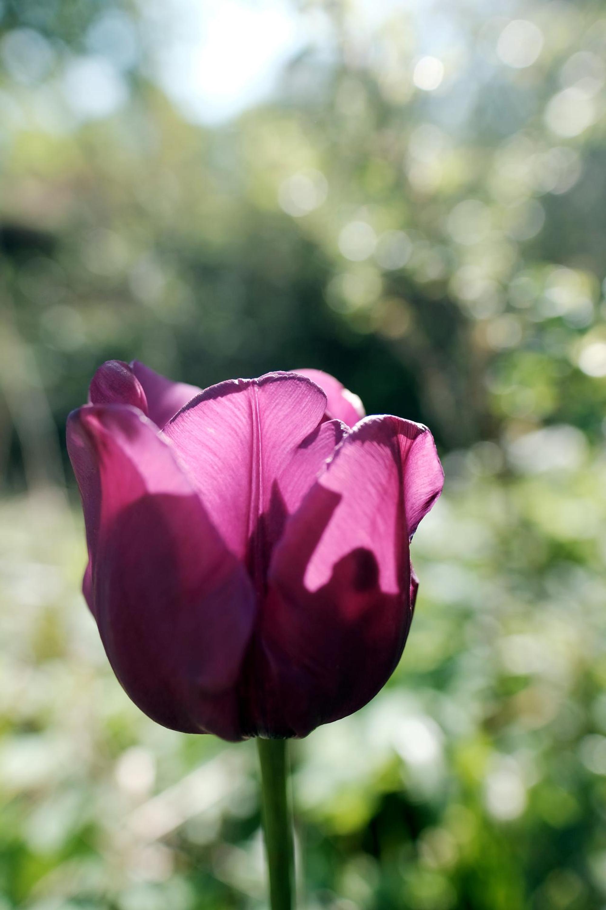 garten 2