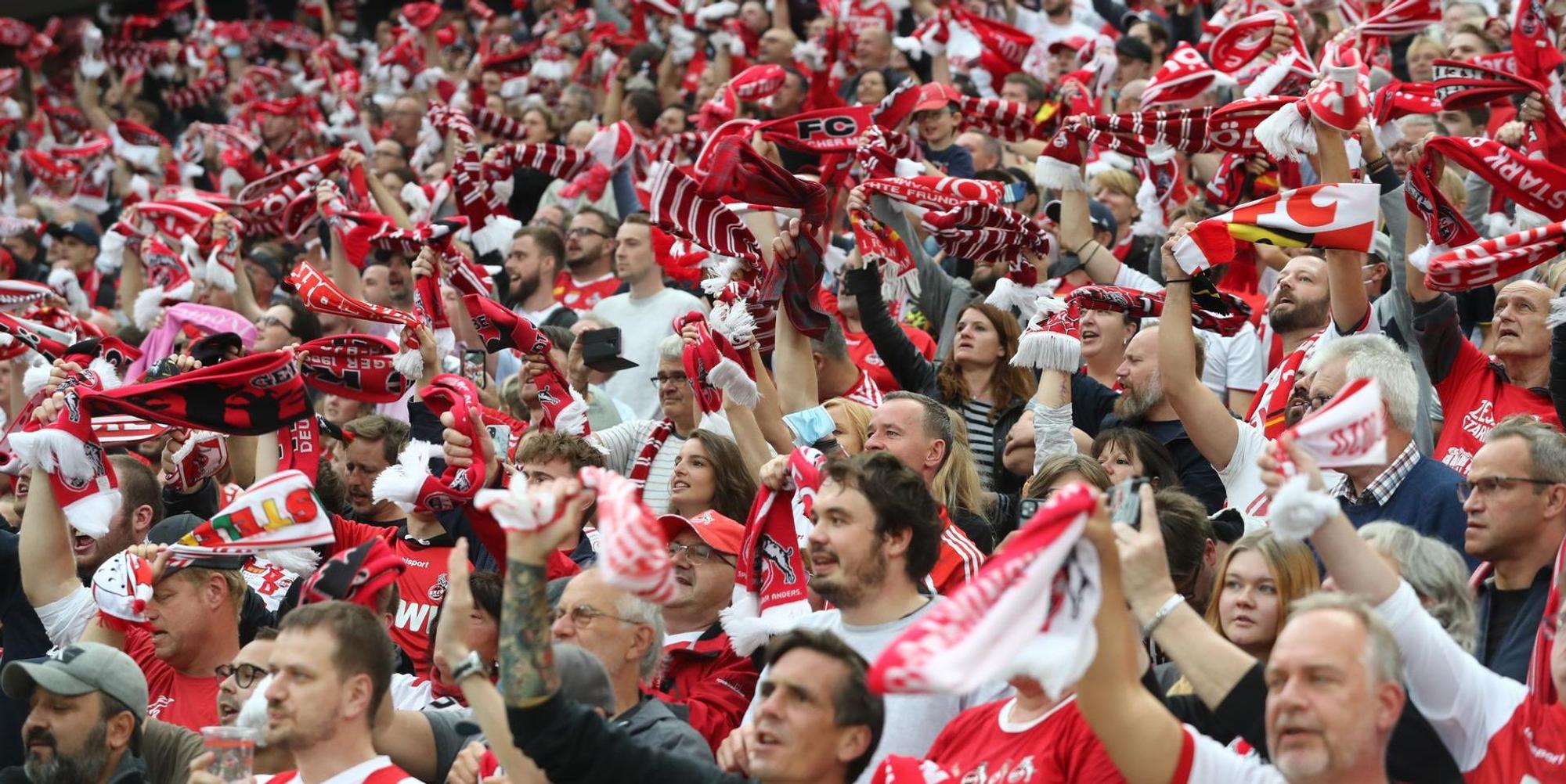FCFans