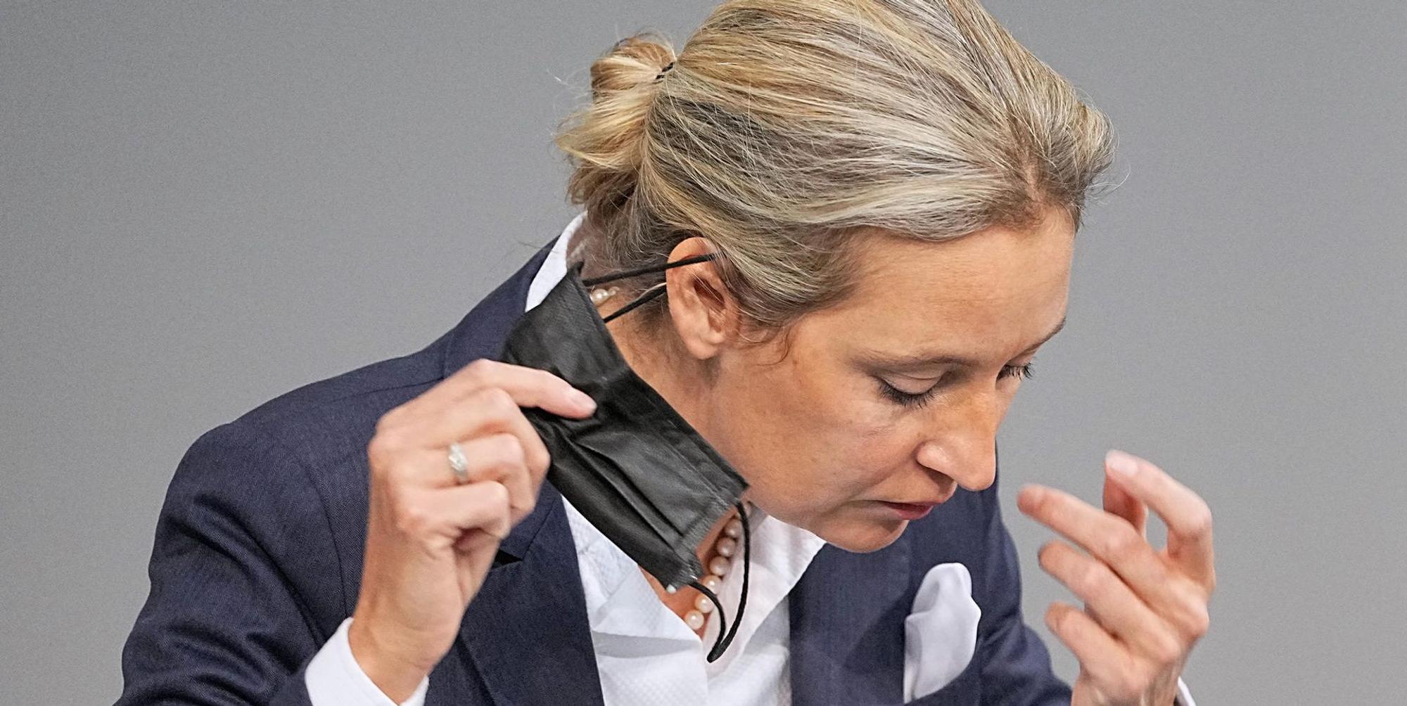 Alice Weidel Maske