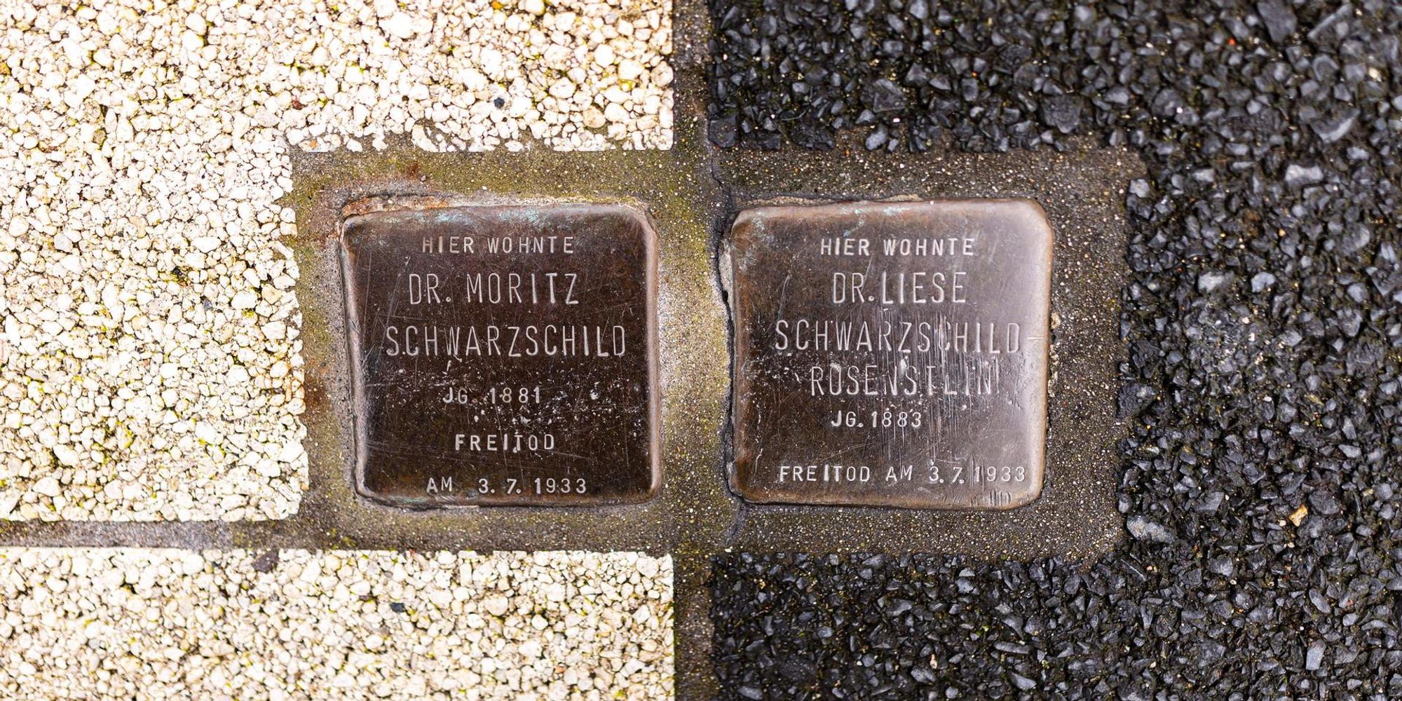 Neuer Inhalt (3)