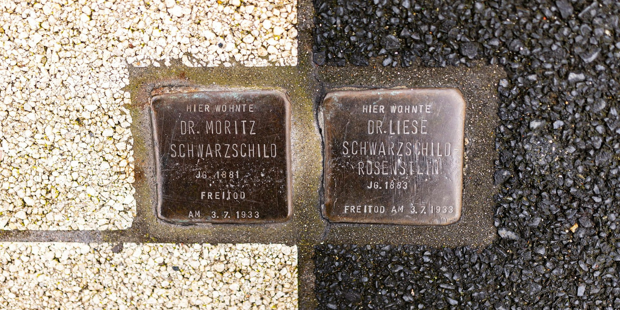 Neuer Inhalt (3)