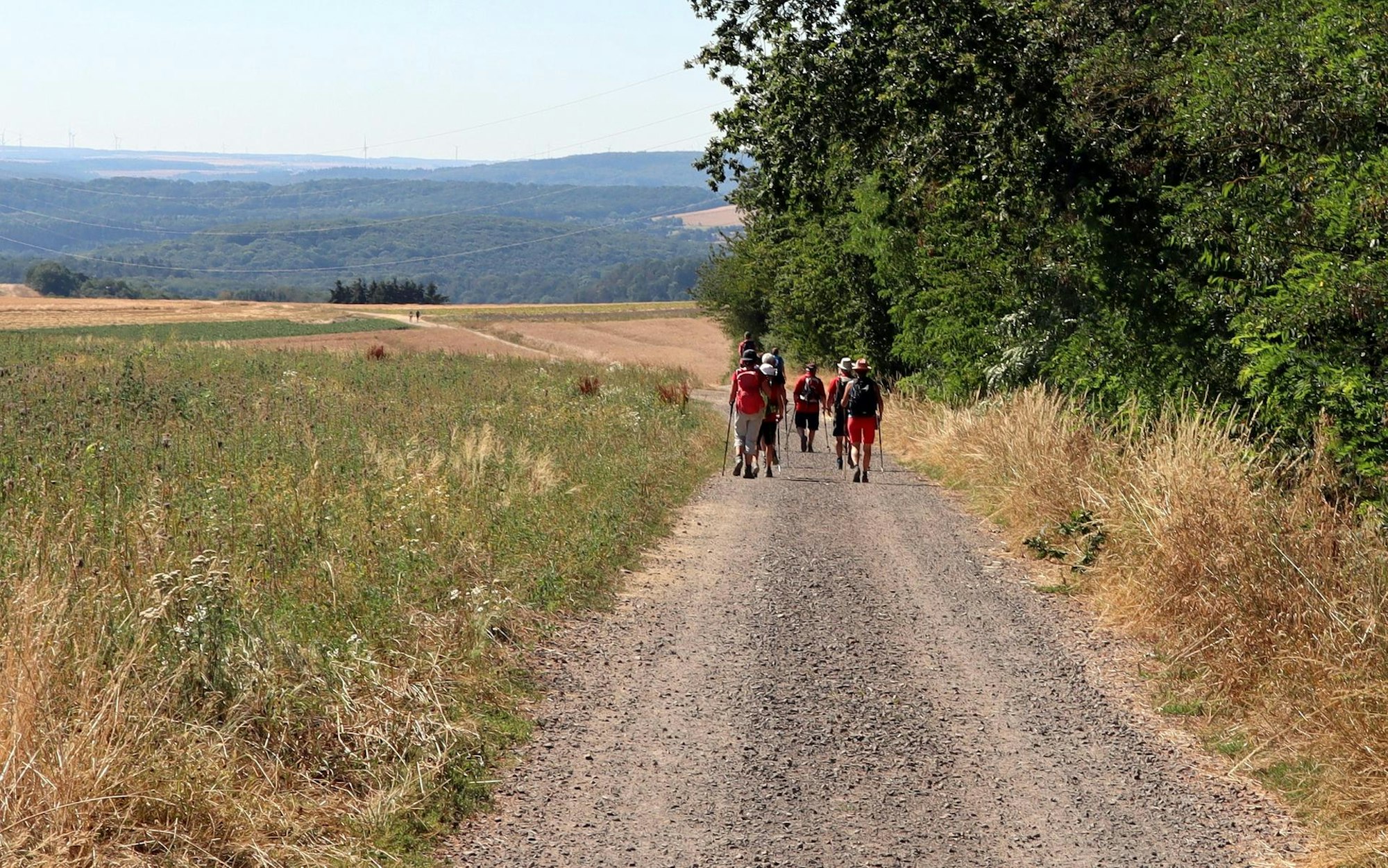 Wanderung Burg Pyrmont 3