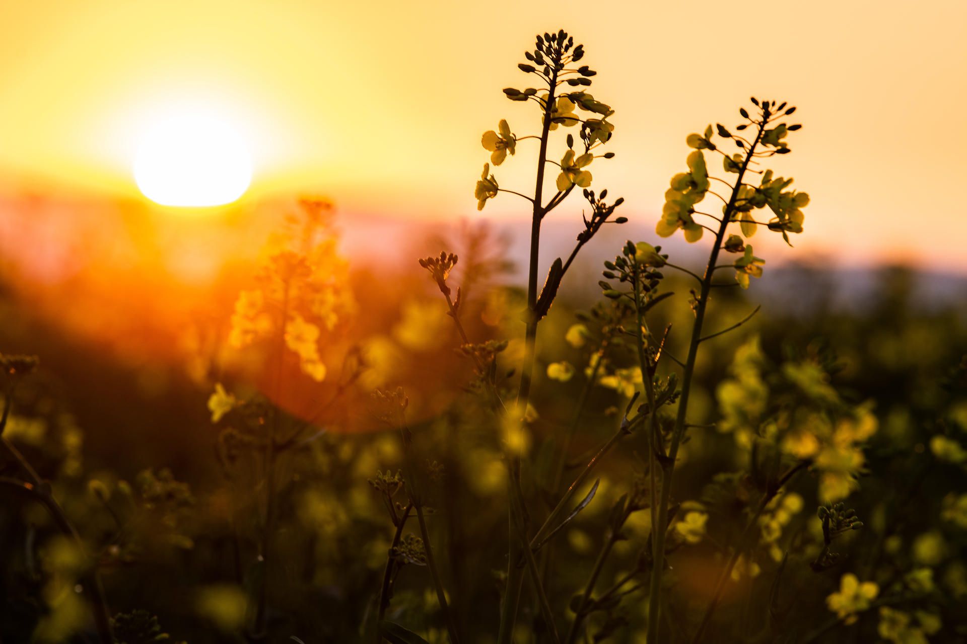 Sonnenaufgang
