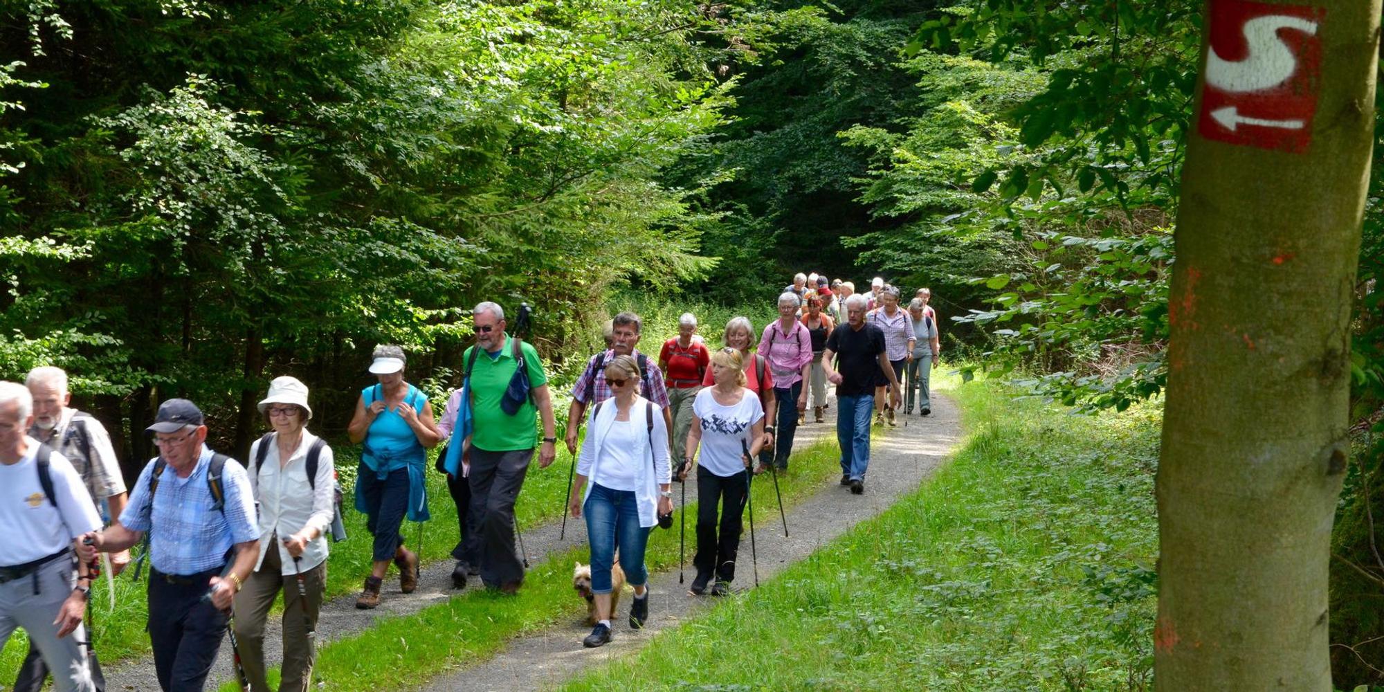 2017_08_14_Eitorf_Wanderung_-_1_(2)