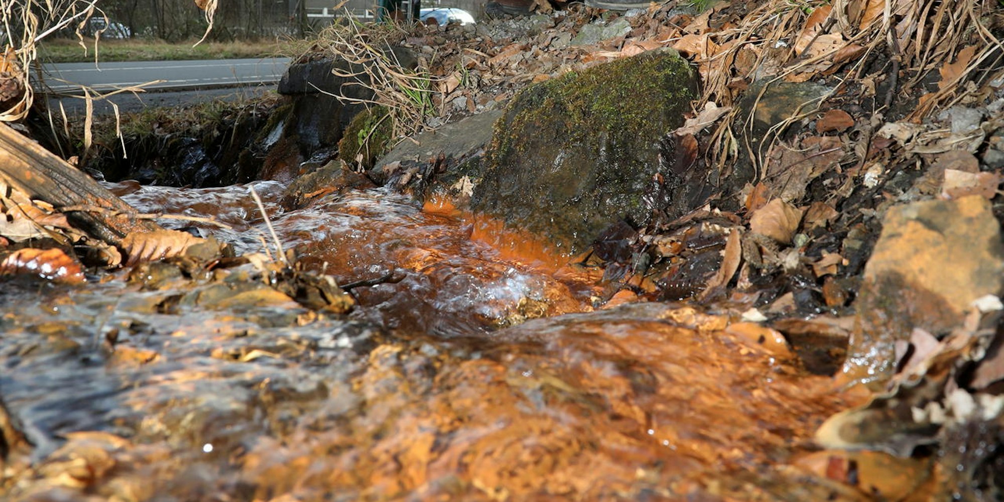 OV_Suelz_Schwermetalle_9519