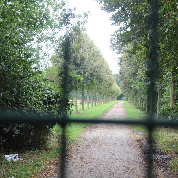 Bergheim_Zaun_Schloss_Frens_(3)
