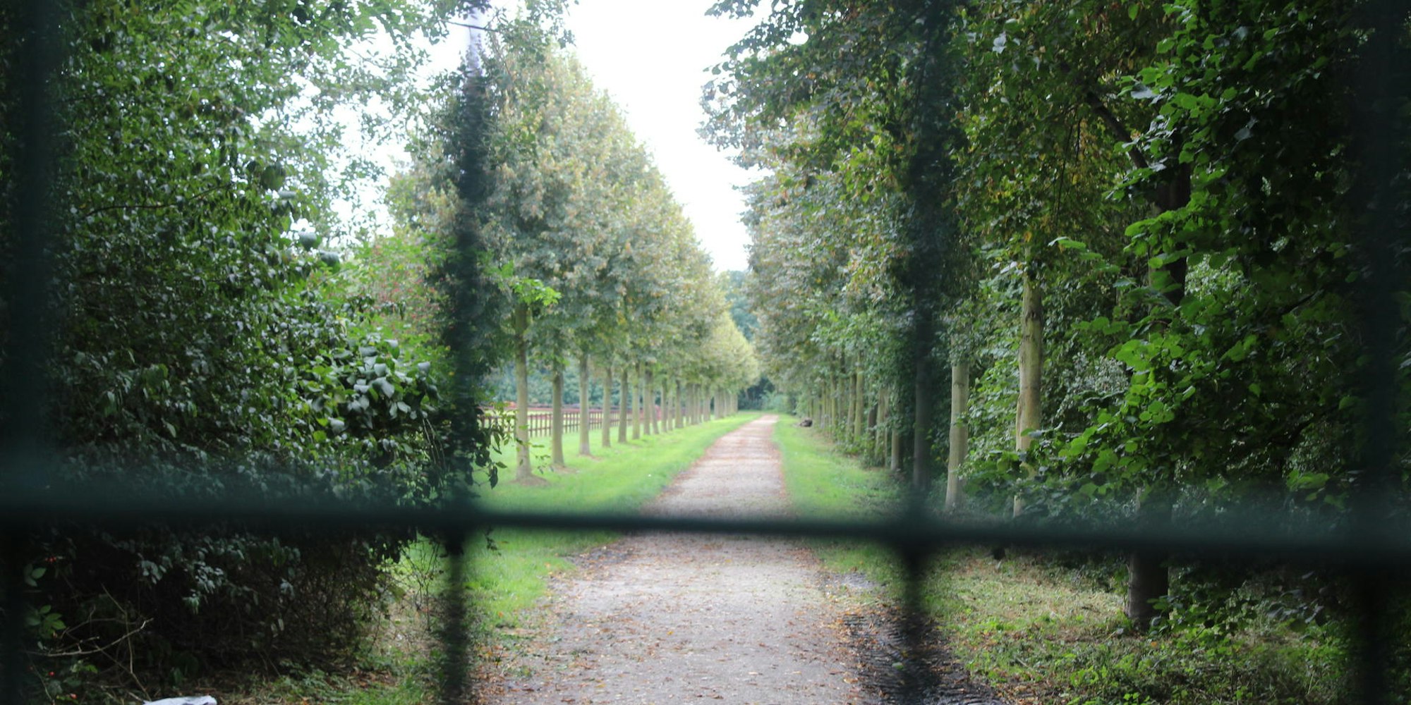 Bergheim_Zaun_Schloss_Frens_(3)