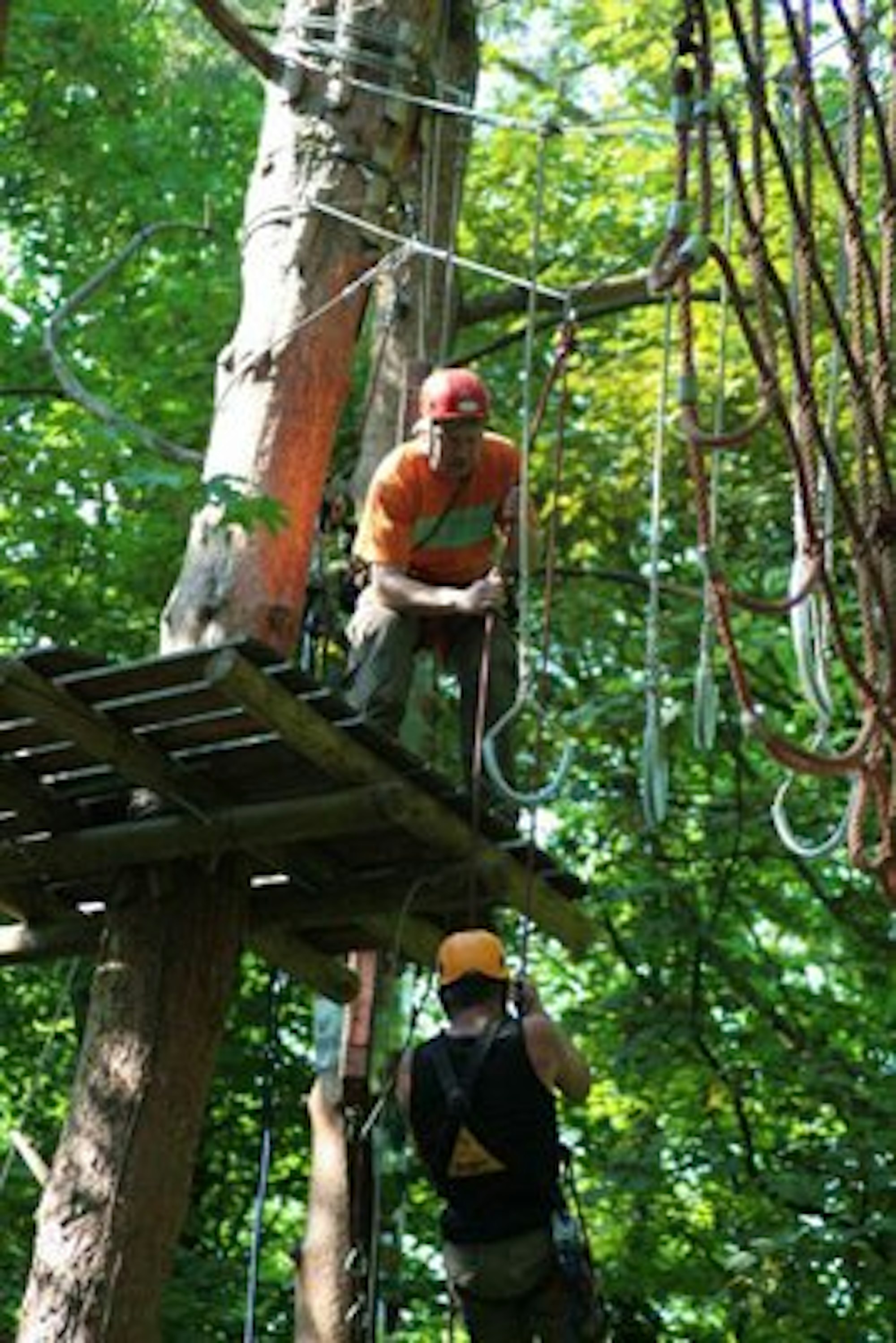 Hochseilgärten - brühl schwindelfrei