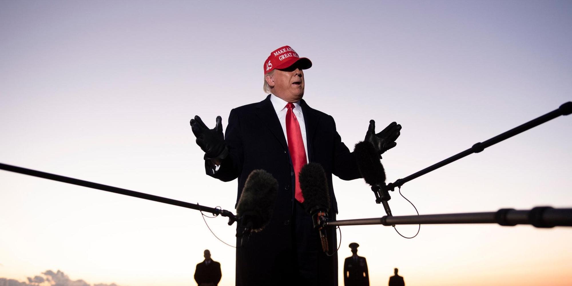 Donald Trump Mikros