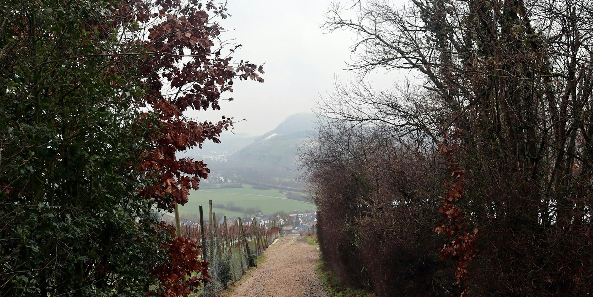 Bad Bodendorf Blick von der Winzerhütte
