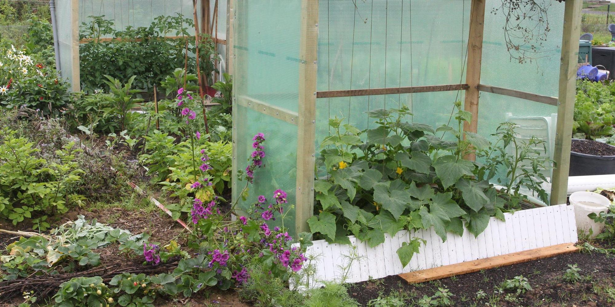 Garten_der_Nationen