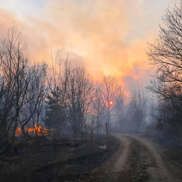 Tschernobyl Feuer Wald