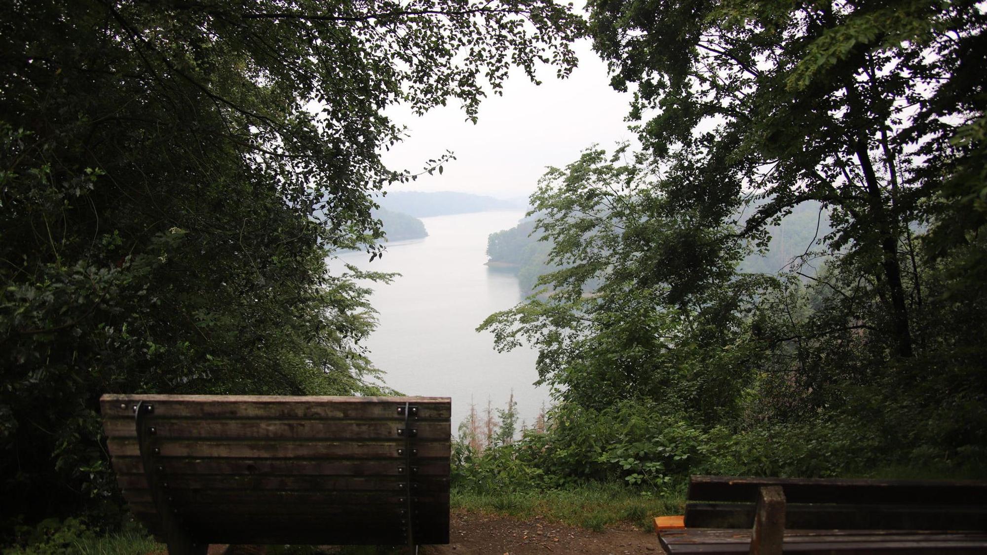 Das Foto zeigt zwei Bänke mit Blick aufs Wasser. Sie stehen am Rand des Ringelsteinwegs.