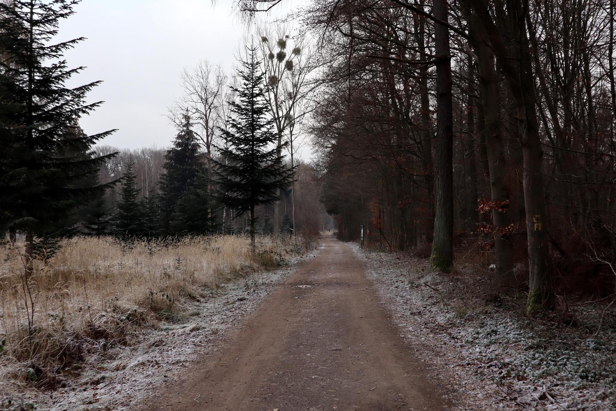 Wanderweg Bad Breisig Hocchplateau Hedrich