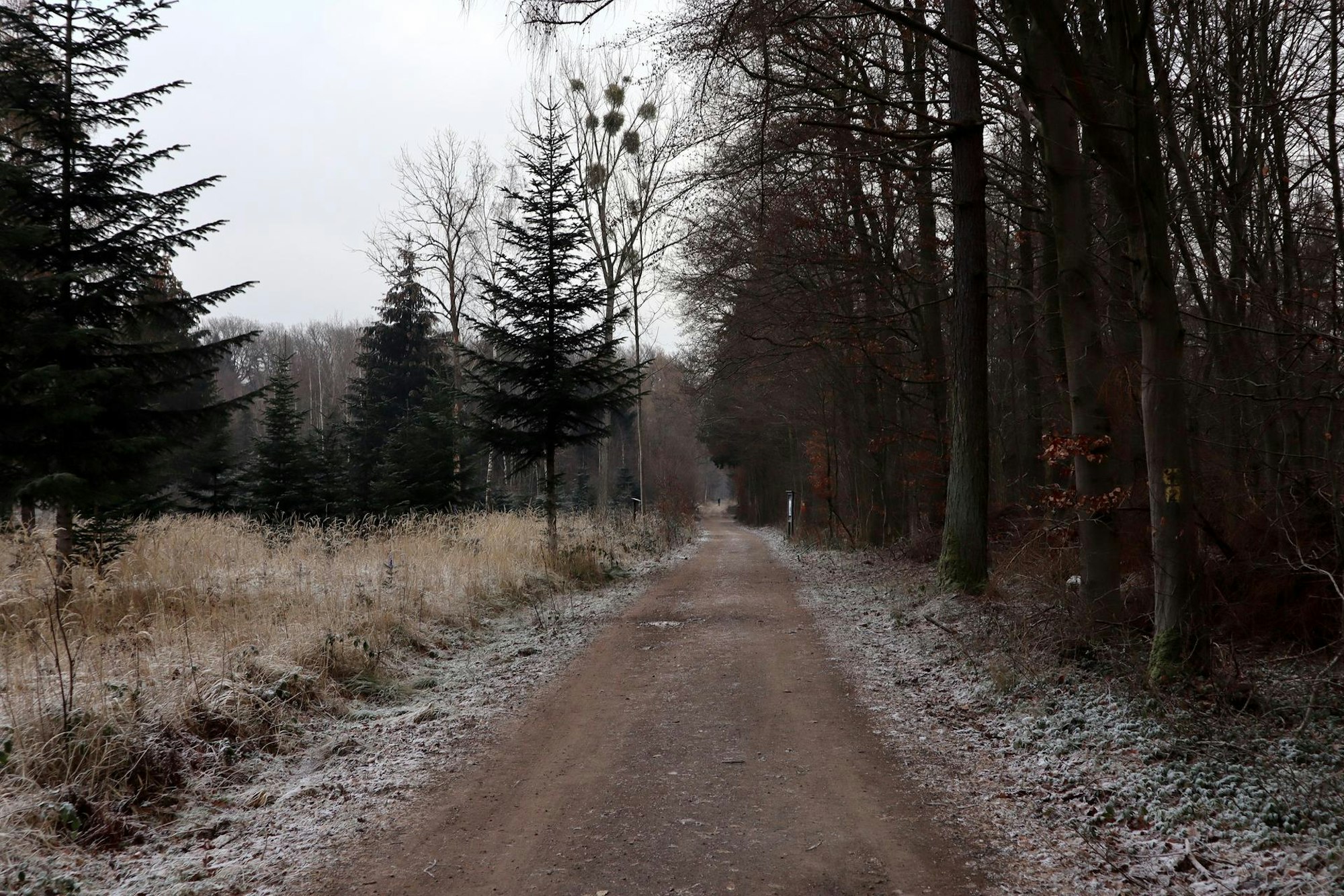 Wanderweg Bad Breisig Hocchplateau Hedrich