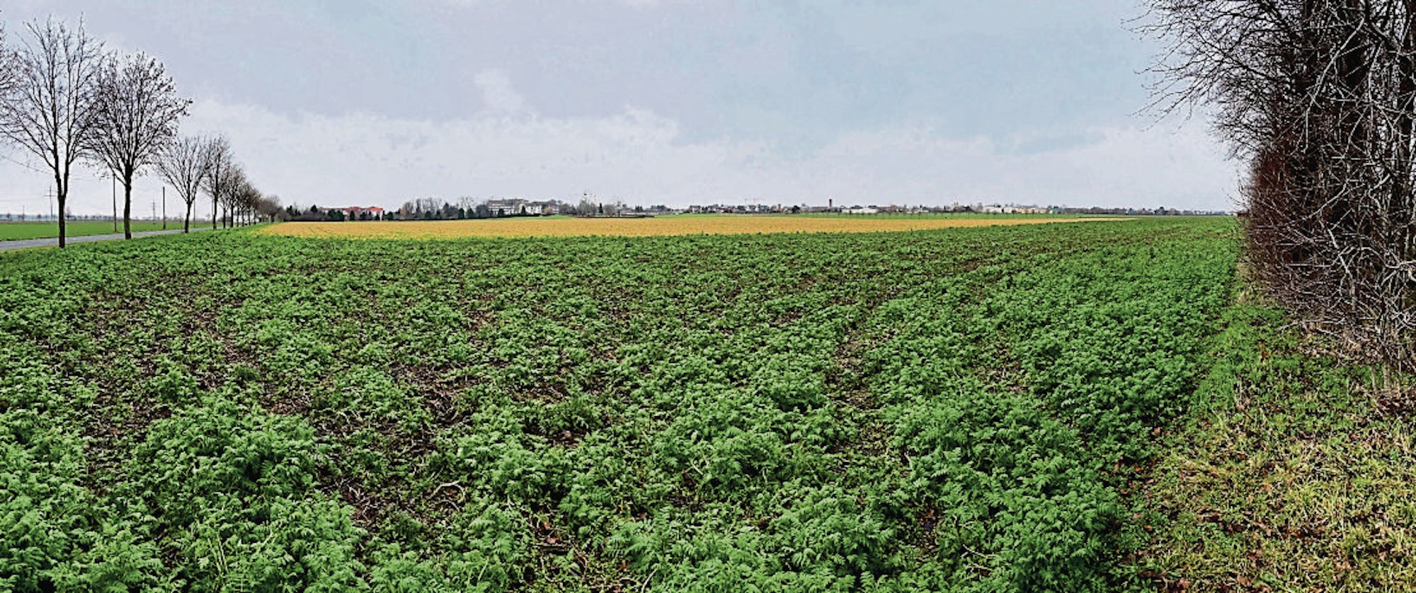 Wassersportsee jetzt