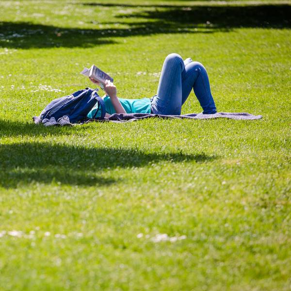 Fruehsommertag_Frau liegt im Park_dpa