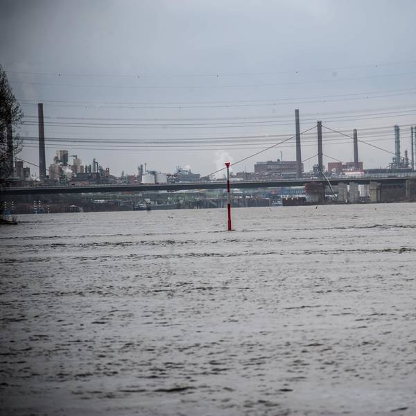 rhein__rar_rle_ALF_1023 (1)