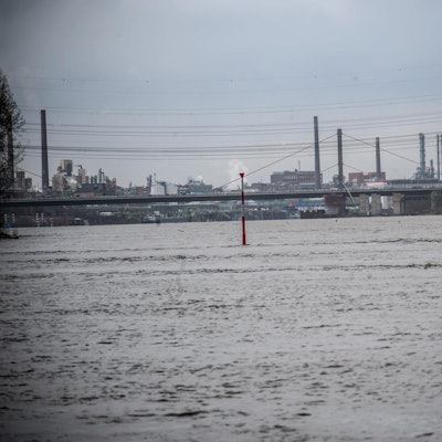 rhein__rar_rle_ALF_1023 (1)