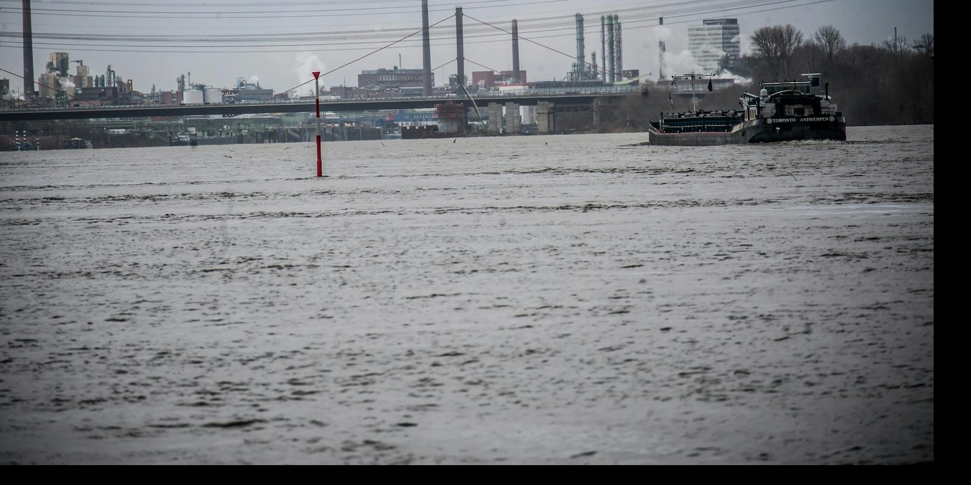 rhein__rar_rle_ALF_1023 (1)