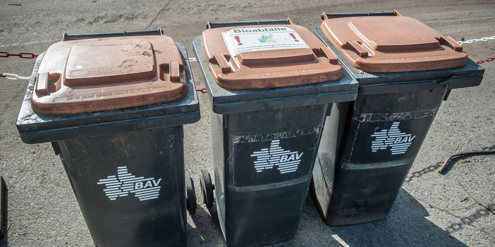 gruenschnitt-heiligeneiche-leverkusen_24022021ALF_8026