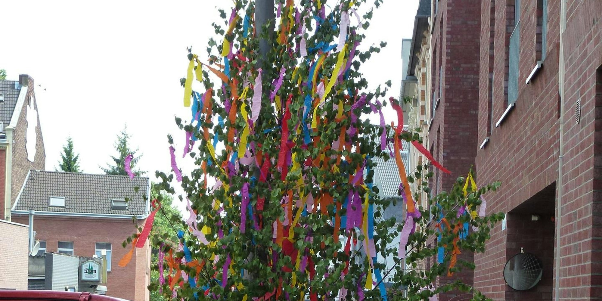 Maibaum Symbolbild