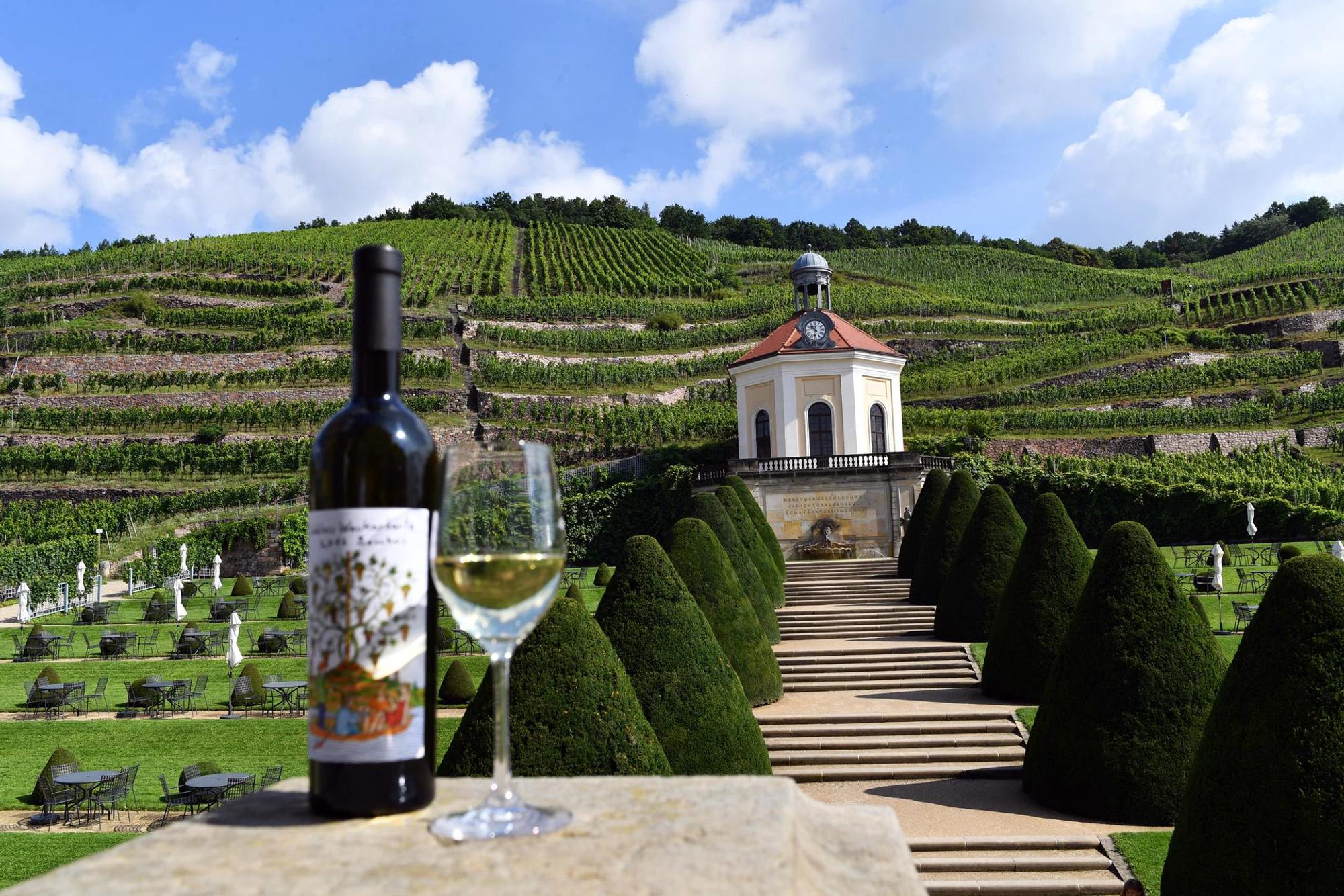 wein weingut winzer