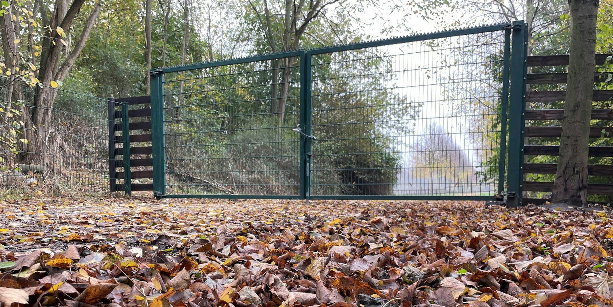 Schloss_Frens_041121