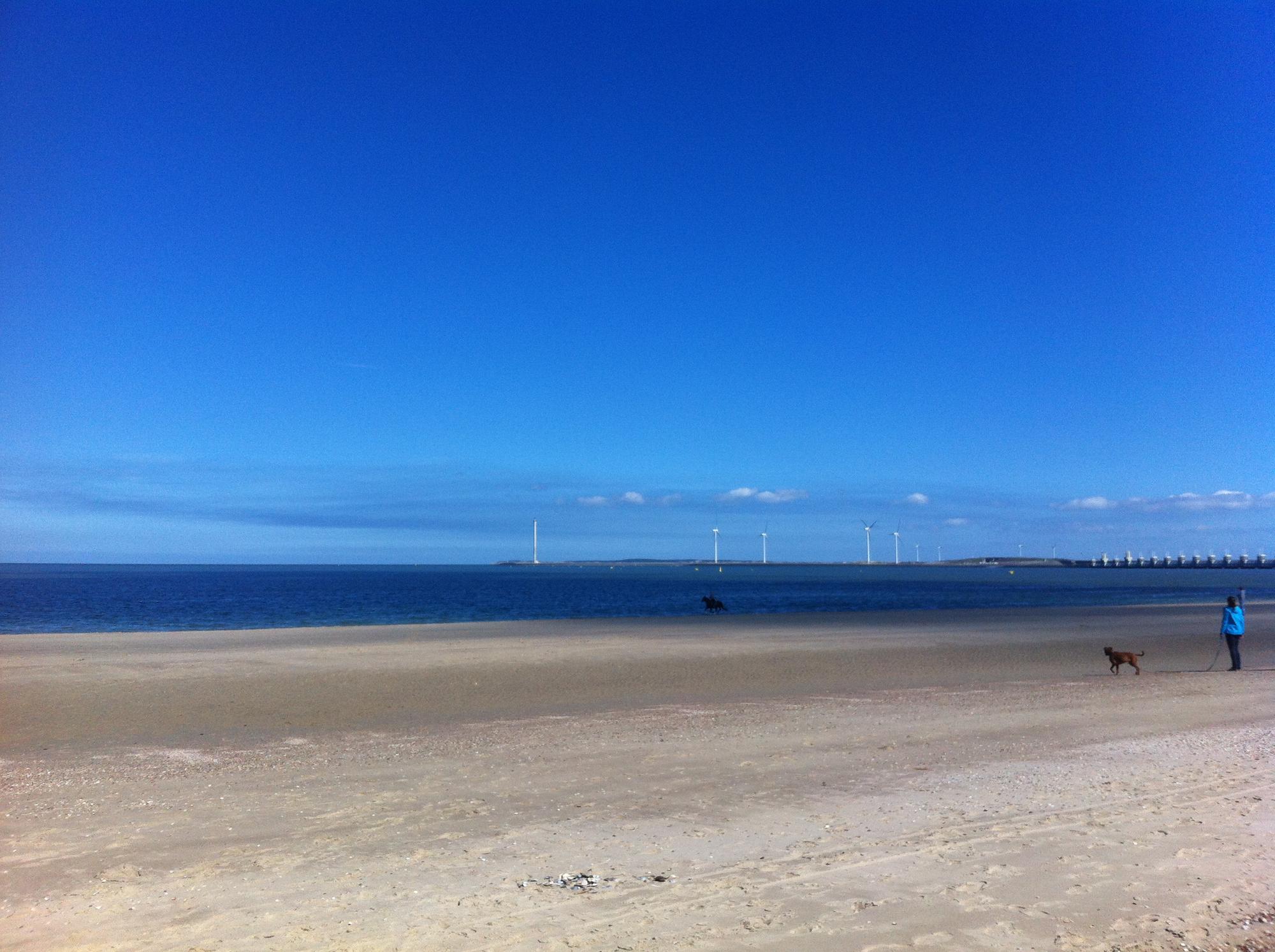 Strand Holland 2016 Domburg