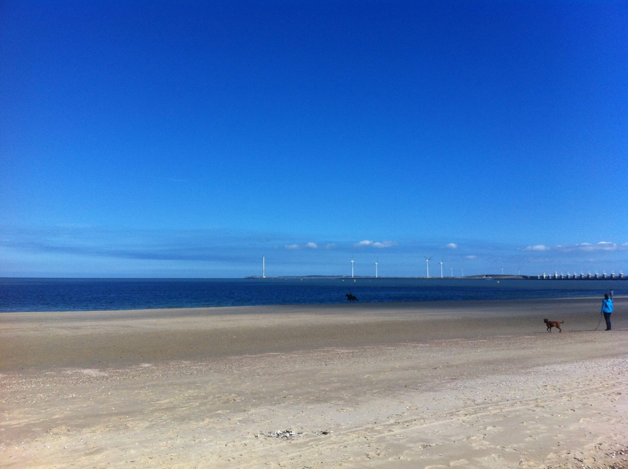 Strand Holland 2016 Domburg