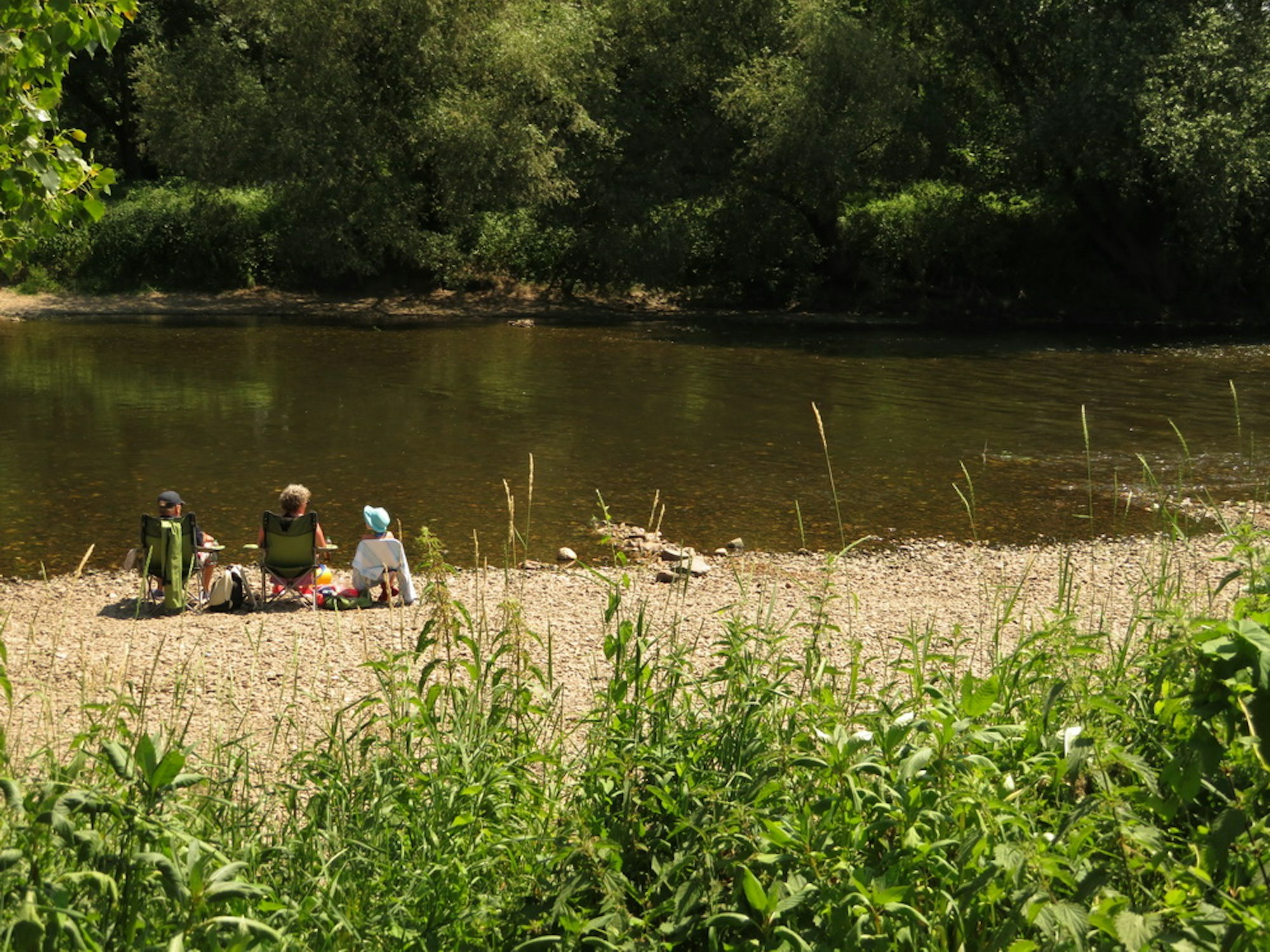Badeufer an der Siegfähre