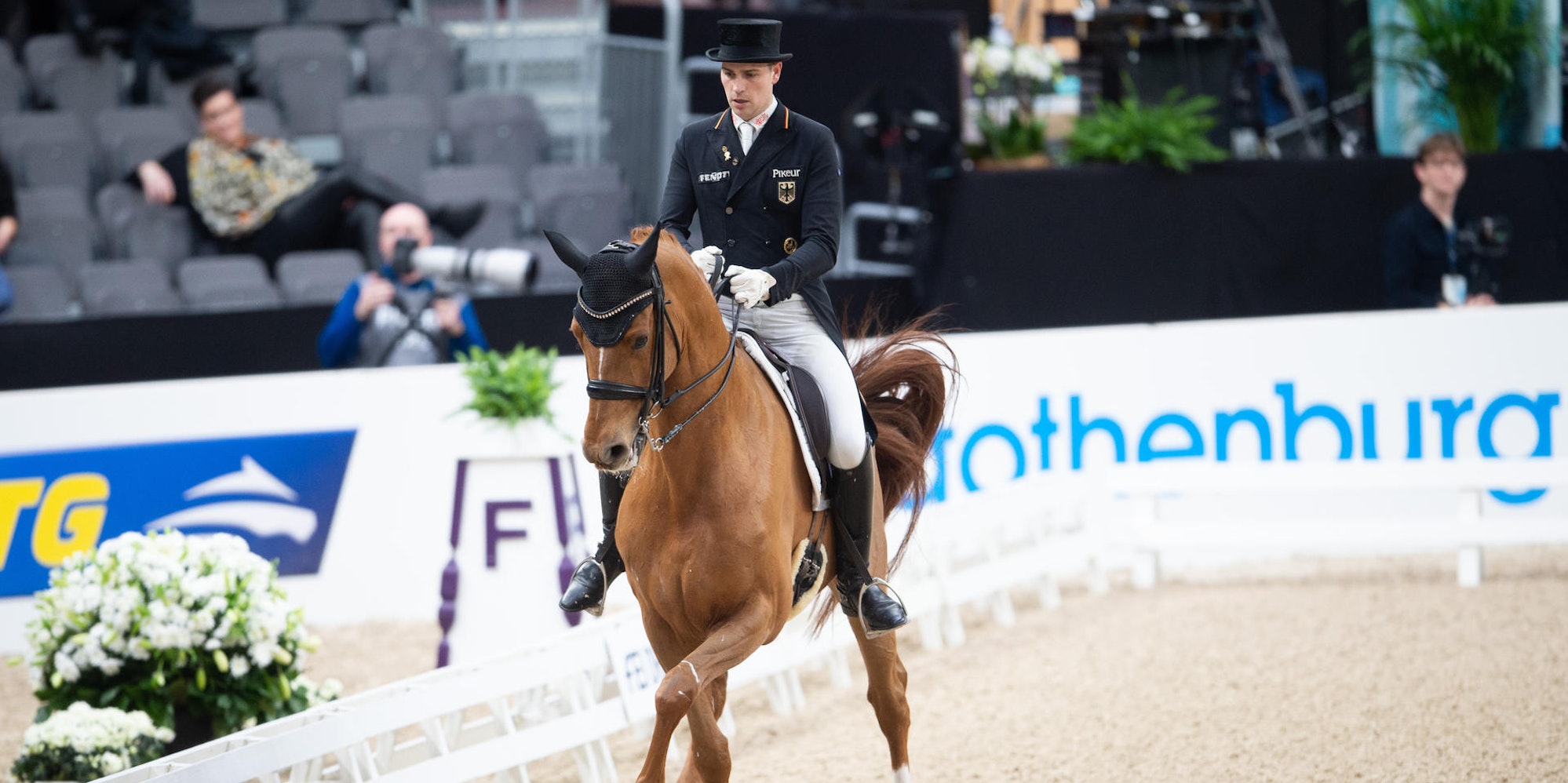 Dressurpferd Fredric Wandres