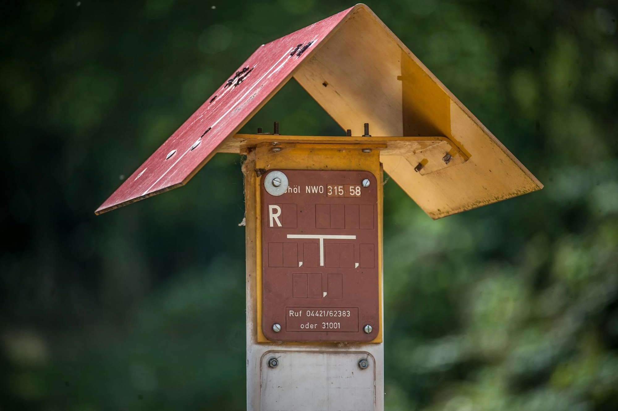 dartpfeil-ralf_rar_rle_07162022ALF_1677