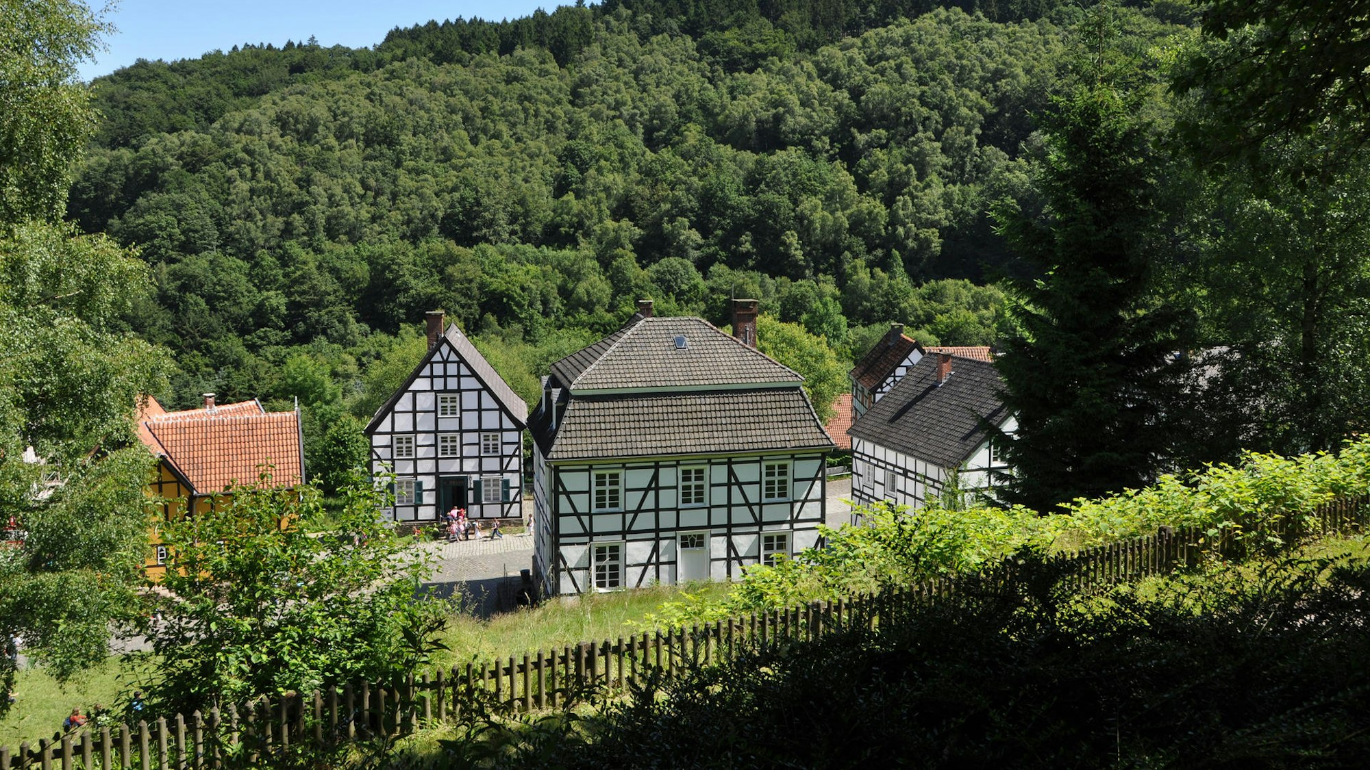 Mitten im Grünen stehen schöne Fachwerkhäuser beisammen