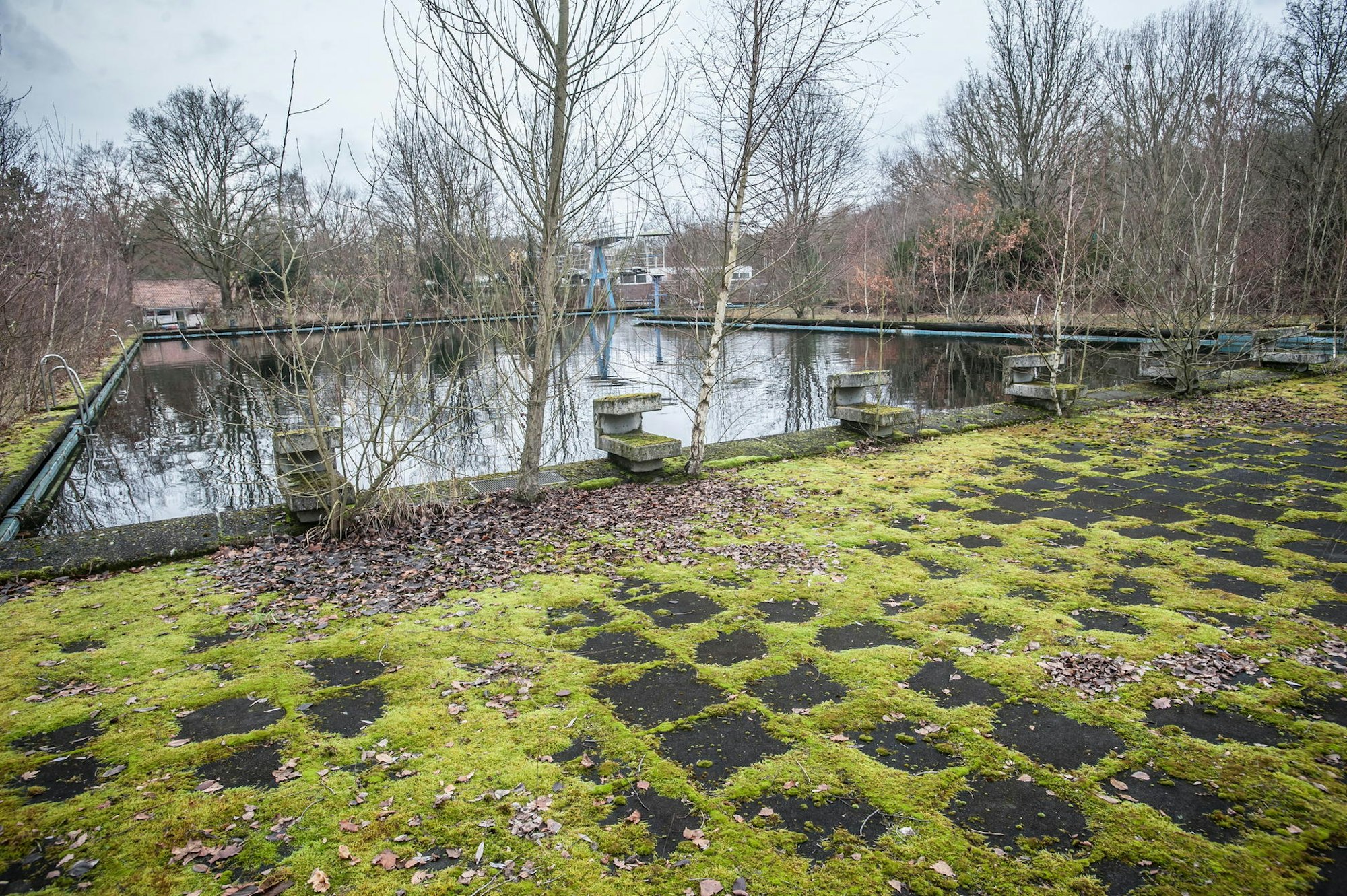 auermuehle_LEV_rar_RLE_12032021ALF_5501