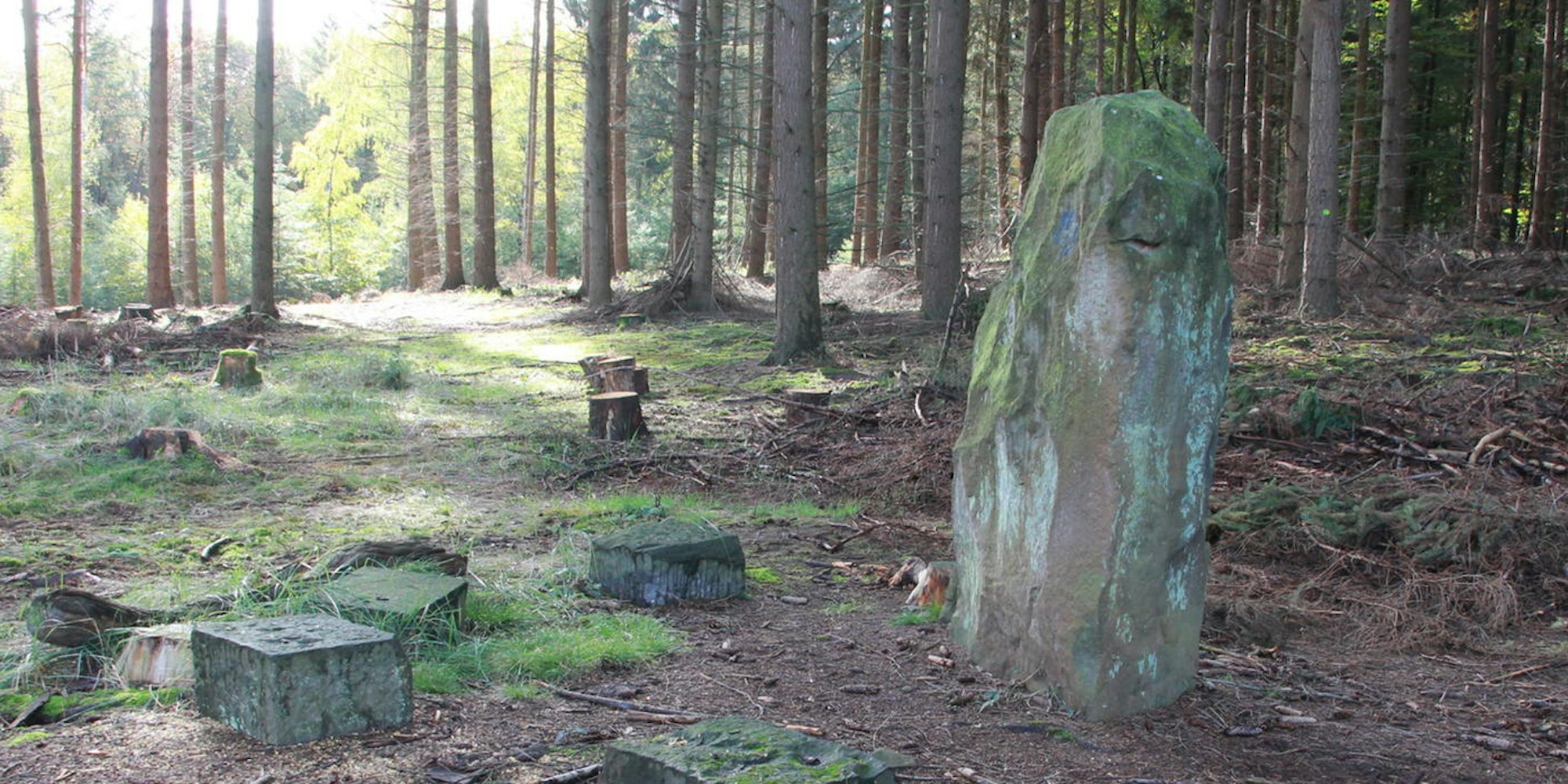 Menhir1