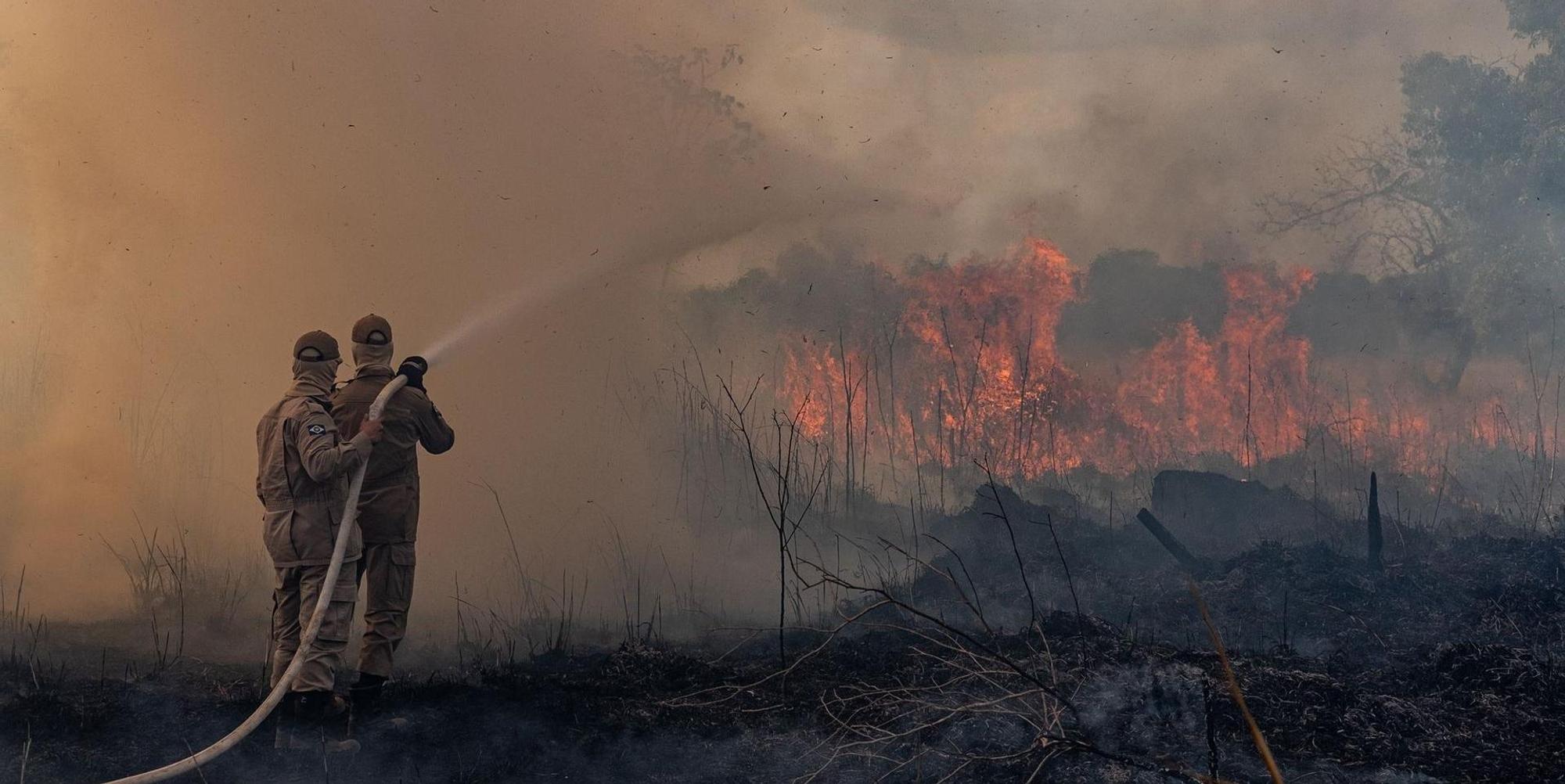 Brand Regenwald Brasilien