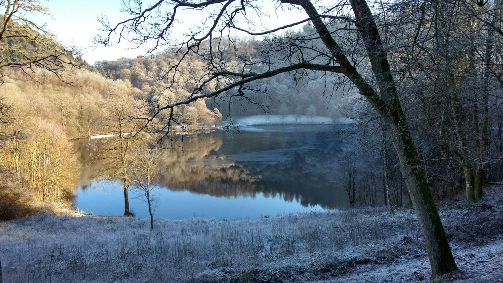 Das Gemündener Maar unter einem weißen Frost-Schleier.