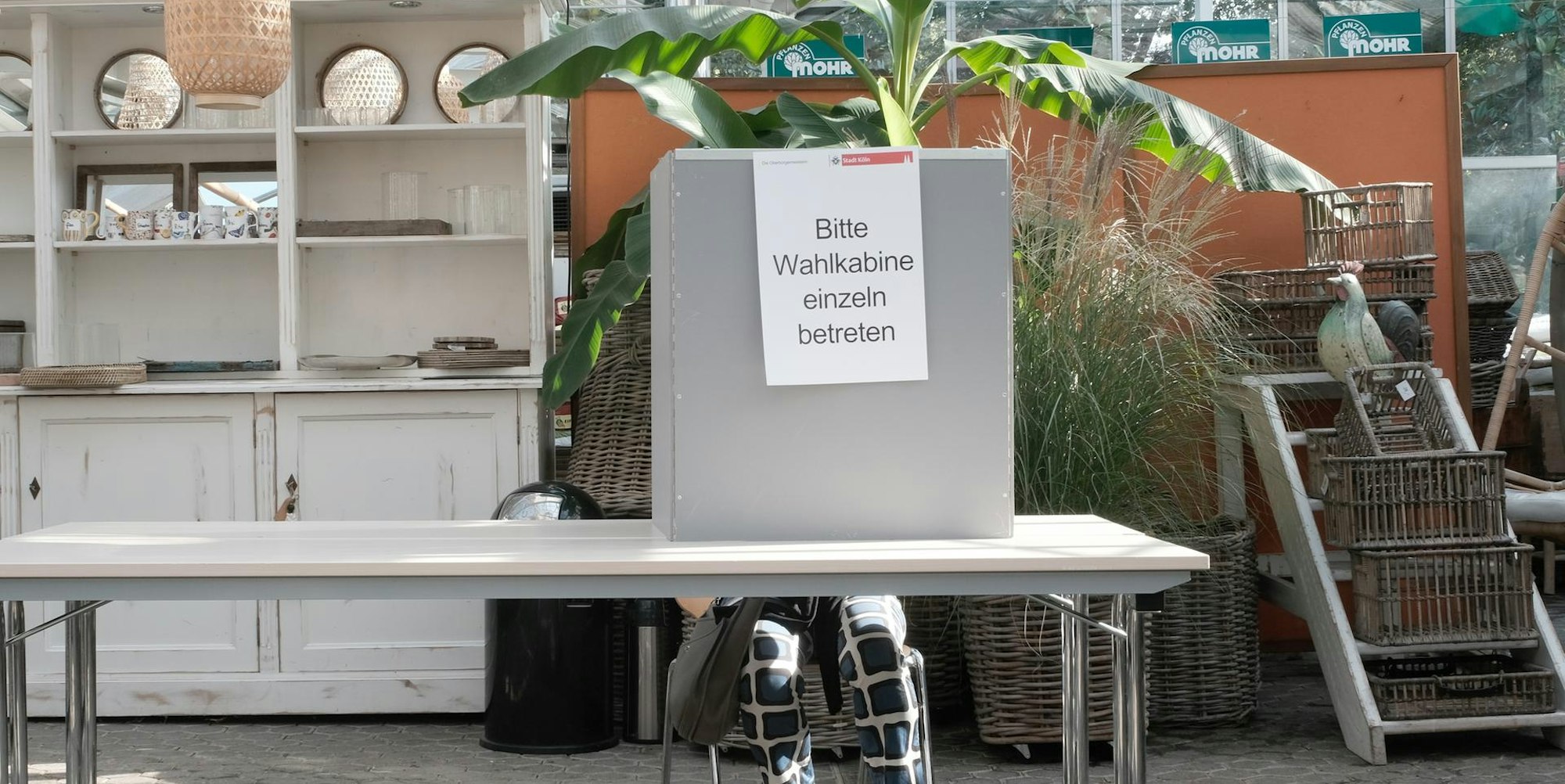 Baumschule Mohr im Hahnwald