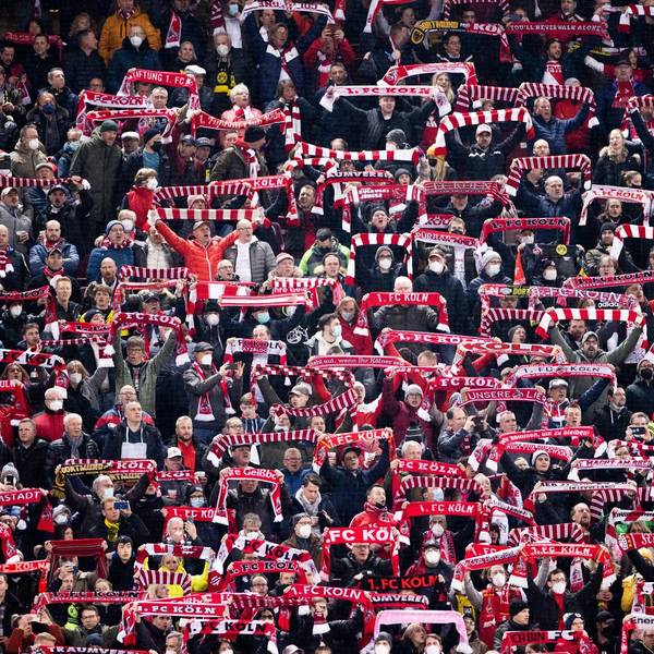 FC Fans BVB
