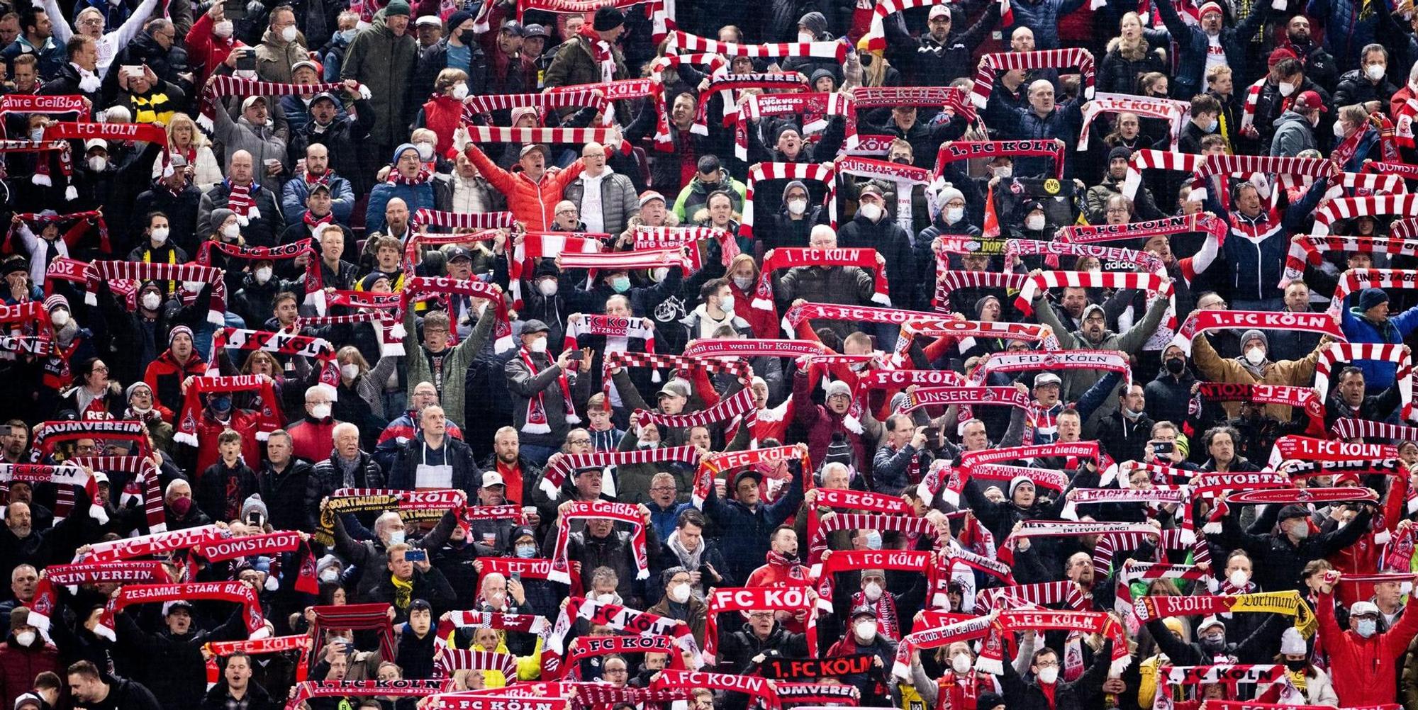 FC Fans BVB