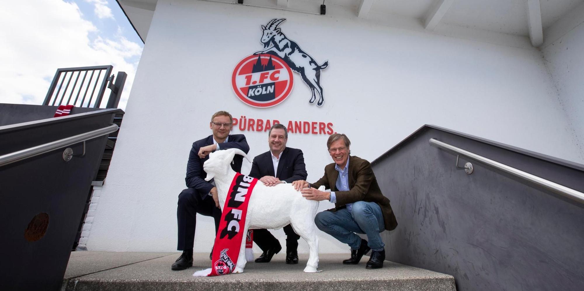 Vorstandsteam
