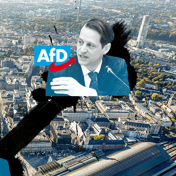 Header-AfD-Werteunion