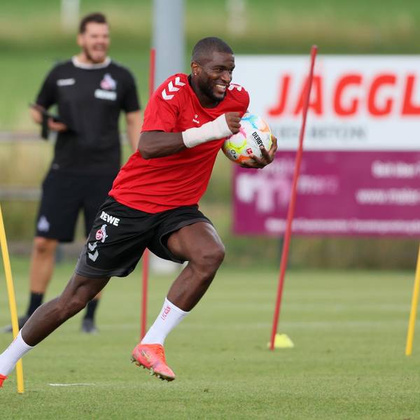 Modeste TL