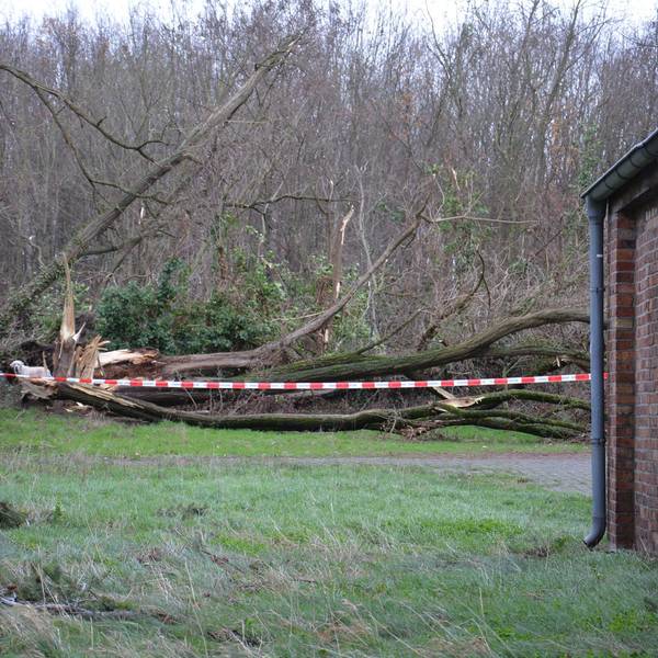 Orkan Symbolbild dpa